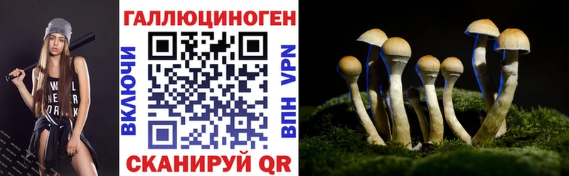 даркнет сайт  Каменск-Уральский  Псилоцибиновые грибы Cubensis 